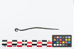 Foto von Bronzerollenkopfnadel (NHMW-PRAE-026395)